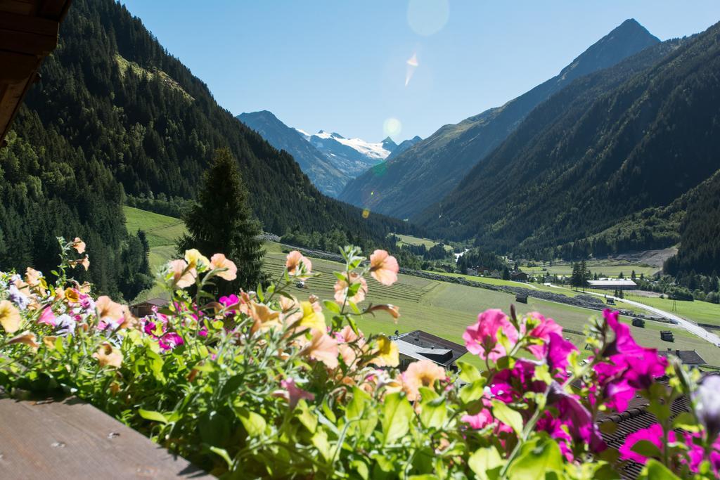 Haus Mary Apartman Neustift im Stubaital Kültér fotó